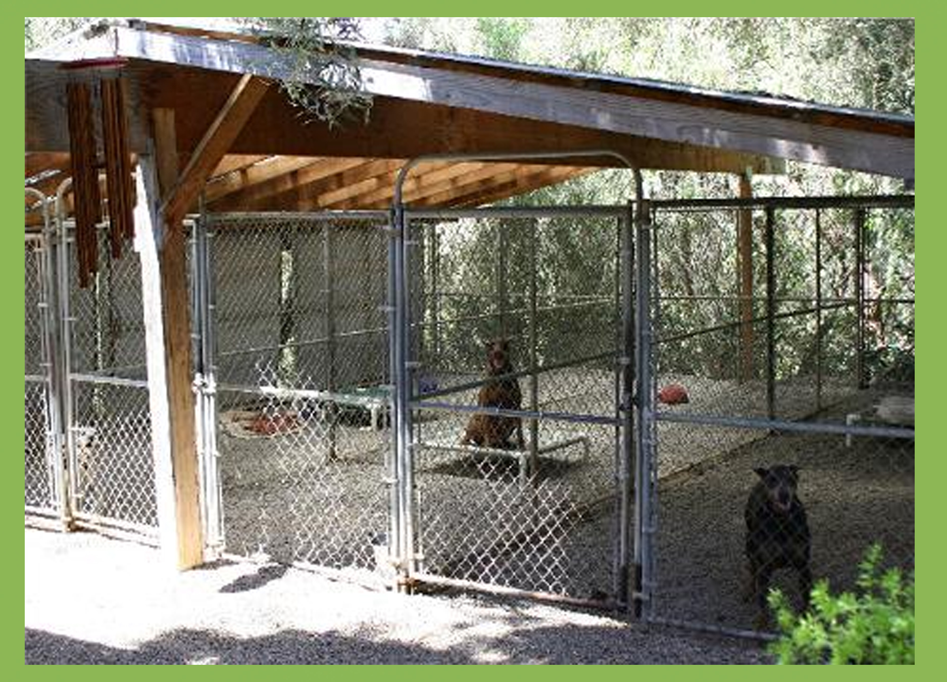 Shaden Kennel large runs and play areas