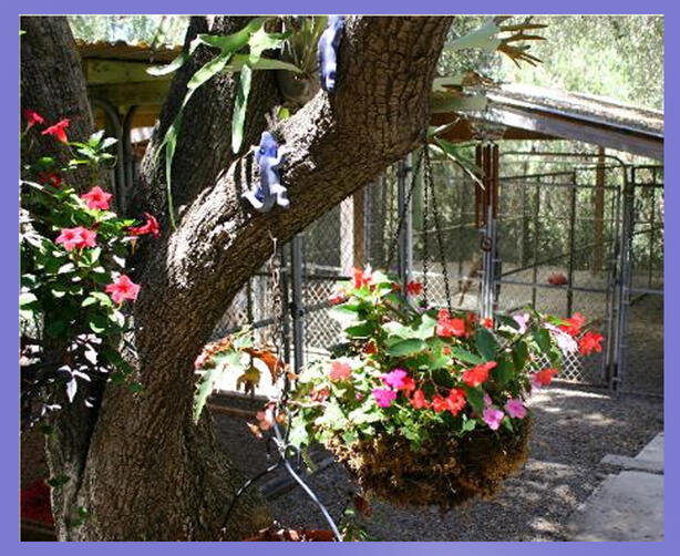 Beautiful park like setting on 5 acres